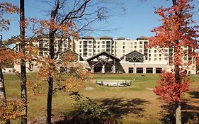 Yo1 Longevity & Health Resorts, Catskills